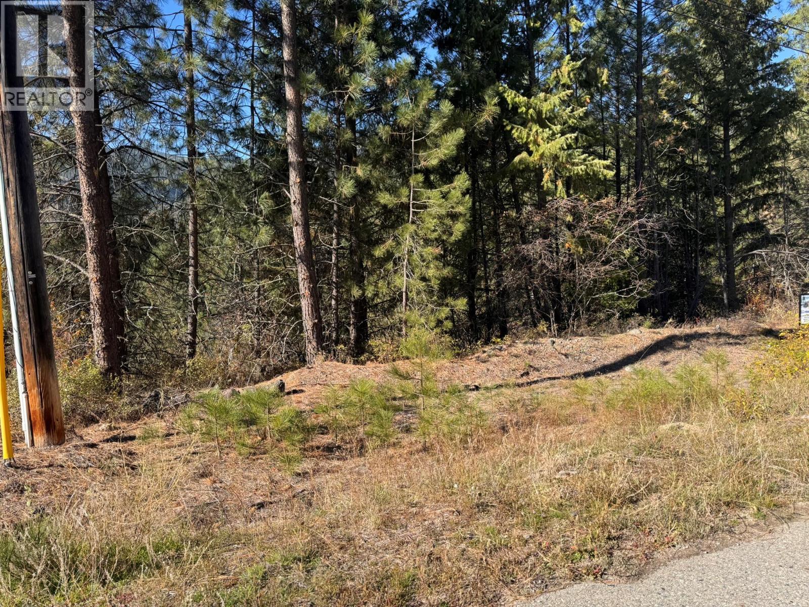Lot 9 Prospect Drive, Grand Forks, British Columbia  V0H 1H2 - Photo 7 - 10403442