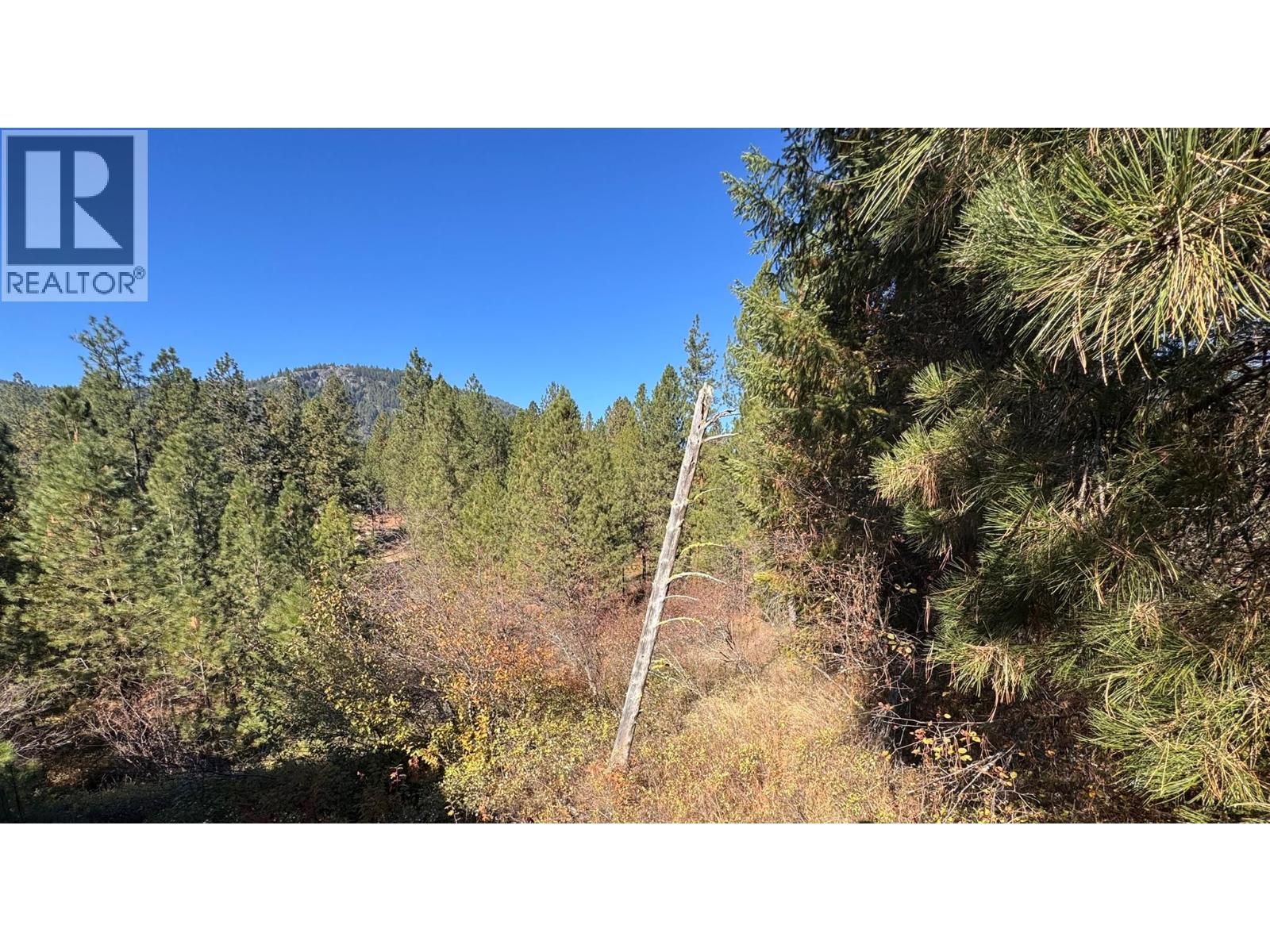 Lot 9 Prospect Drive, Grand Forks, British Columbia  V0H 1H2 - Photo 8 - 10403442