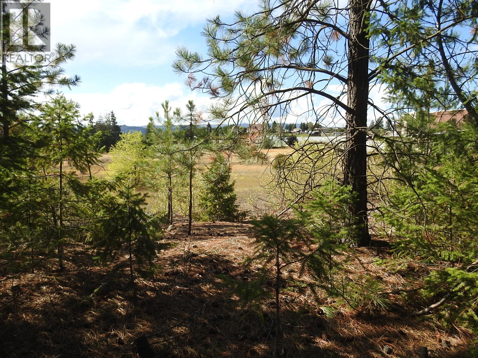 Lot 43 Silver Star Road, Vernon, British Columbia  V1B 3P7 - Photo 27 - 10403692