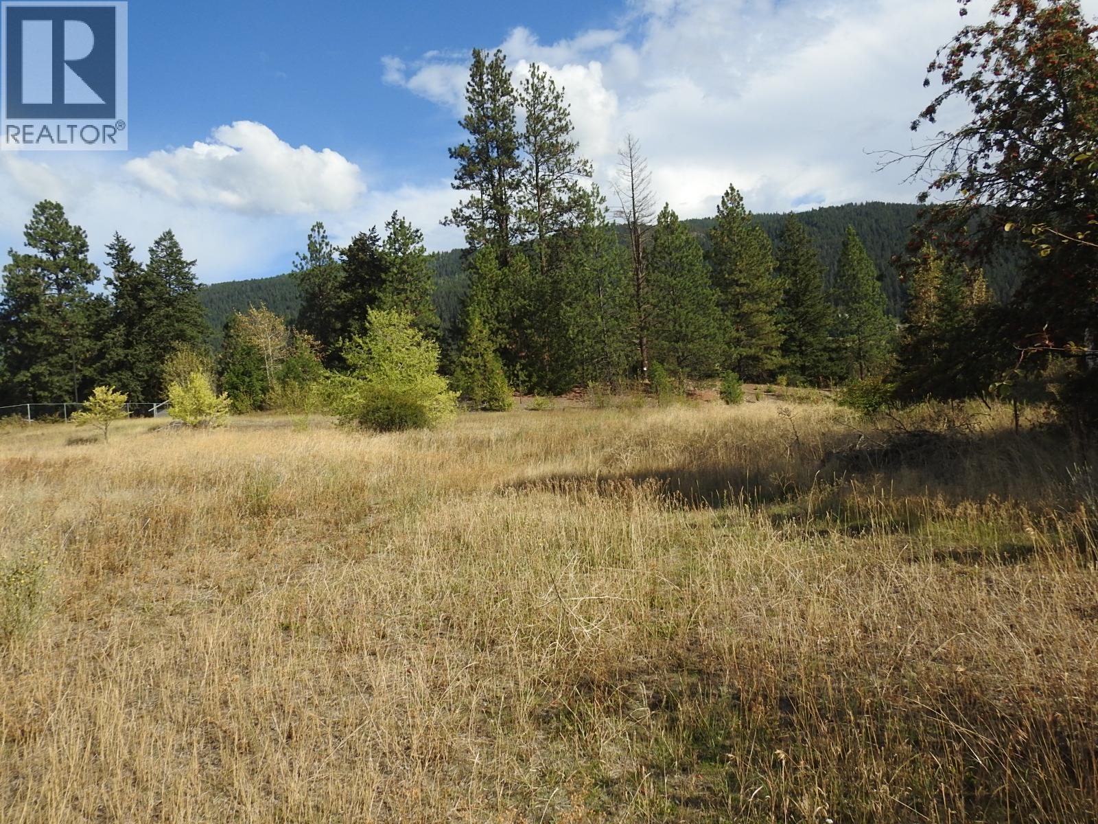 Lot 43 Silver Star Road, Vernon, British Columbia  V1B 3P7 - Photo 6 - 10403692