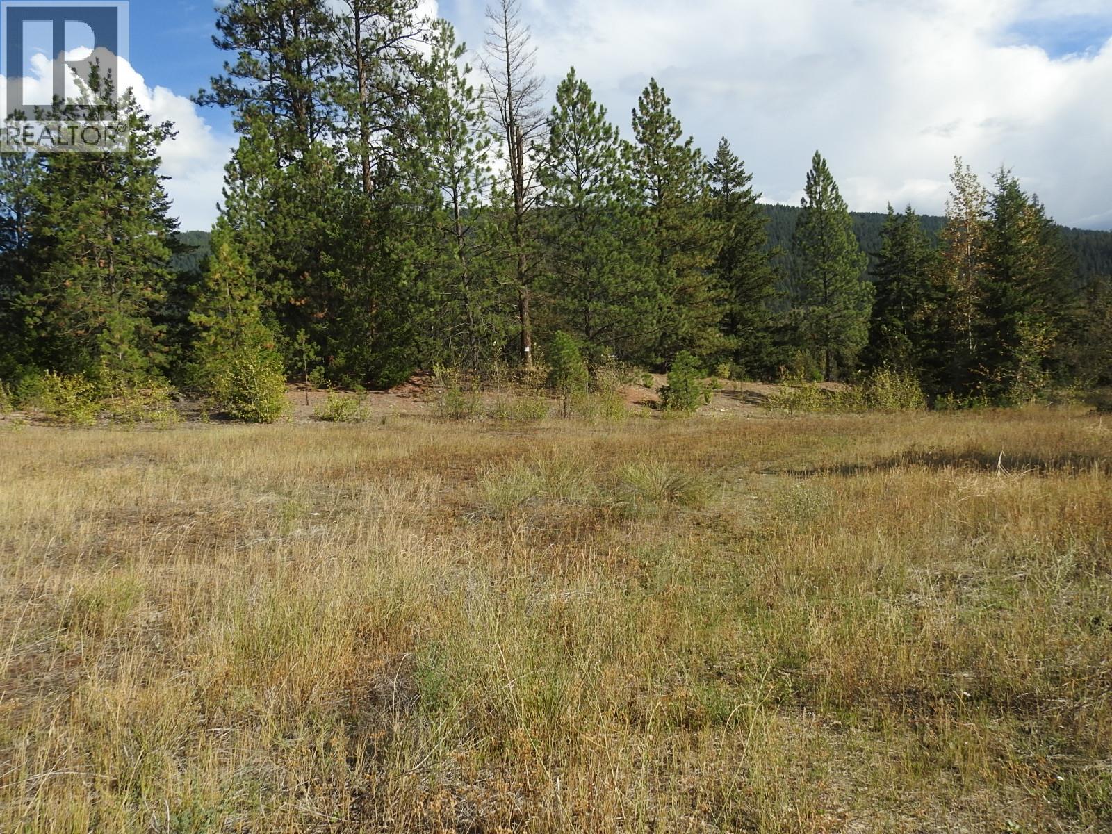 Lot 43 Silver Star Road, Vernon, British Columbia  V1B 3P7 - Photo 7 - 10403692