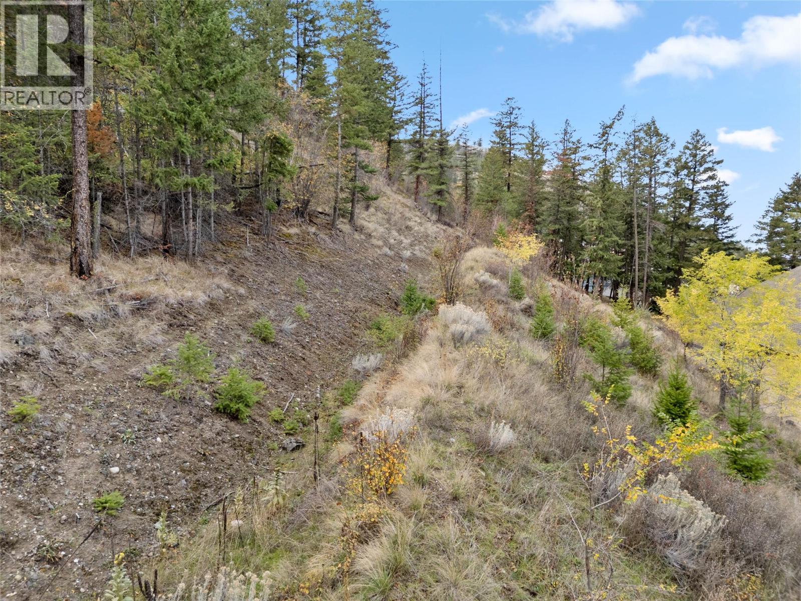 4732 Uplands Drive, Kamloops, British Columbia  V2C 6S9 - Photo 74 - 10401789