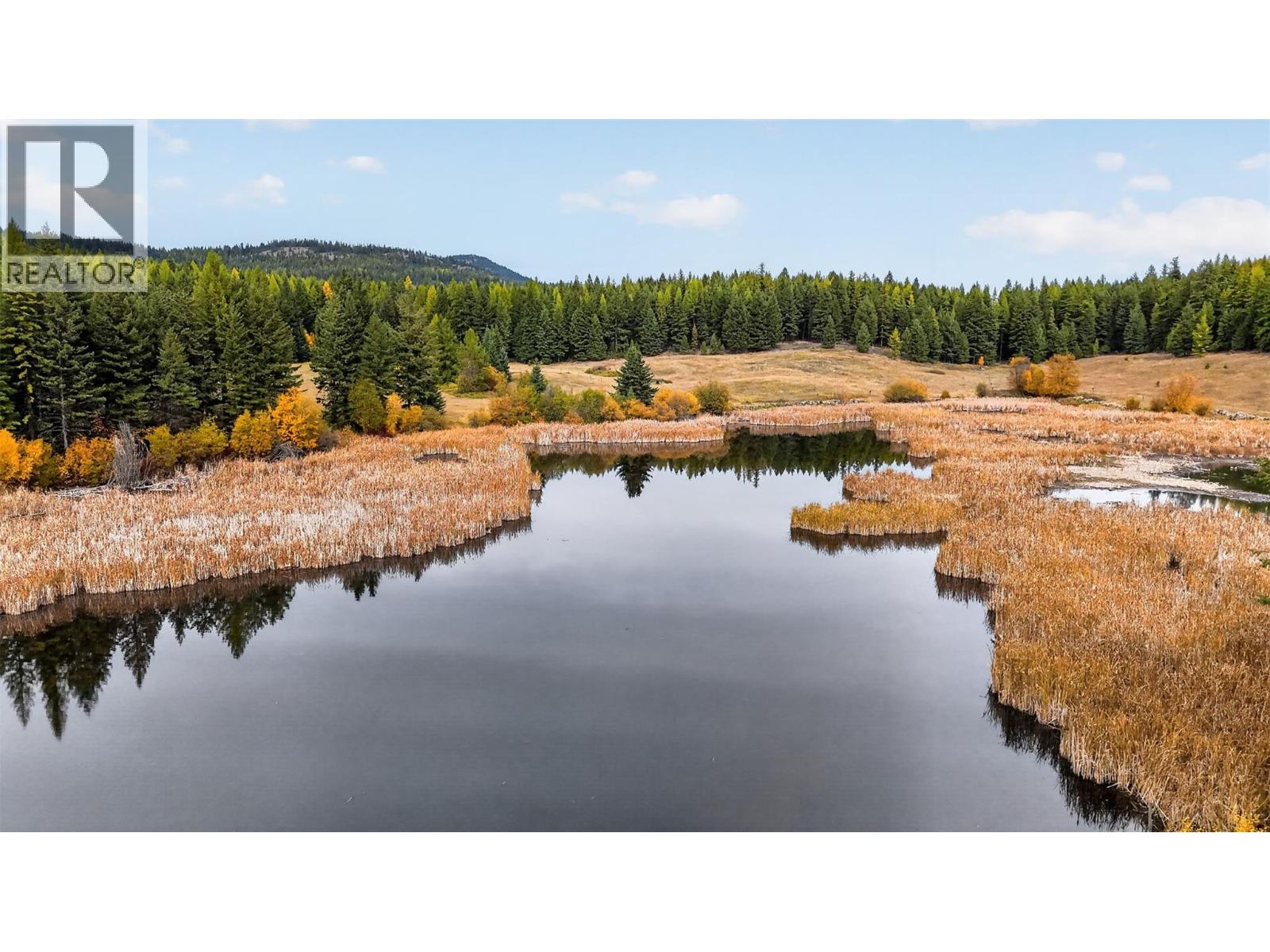 1770 Johnstone Creek Road W, Rock Creek, British Columbia  V0H 1Y0 - Photo 5 - 10403430