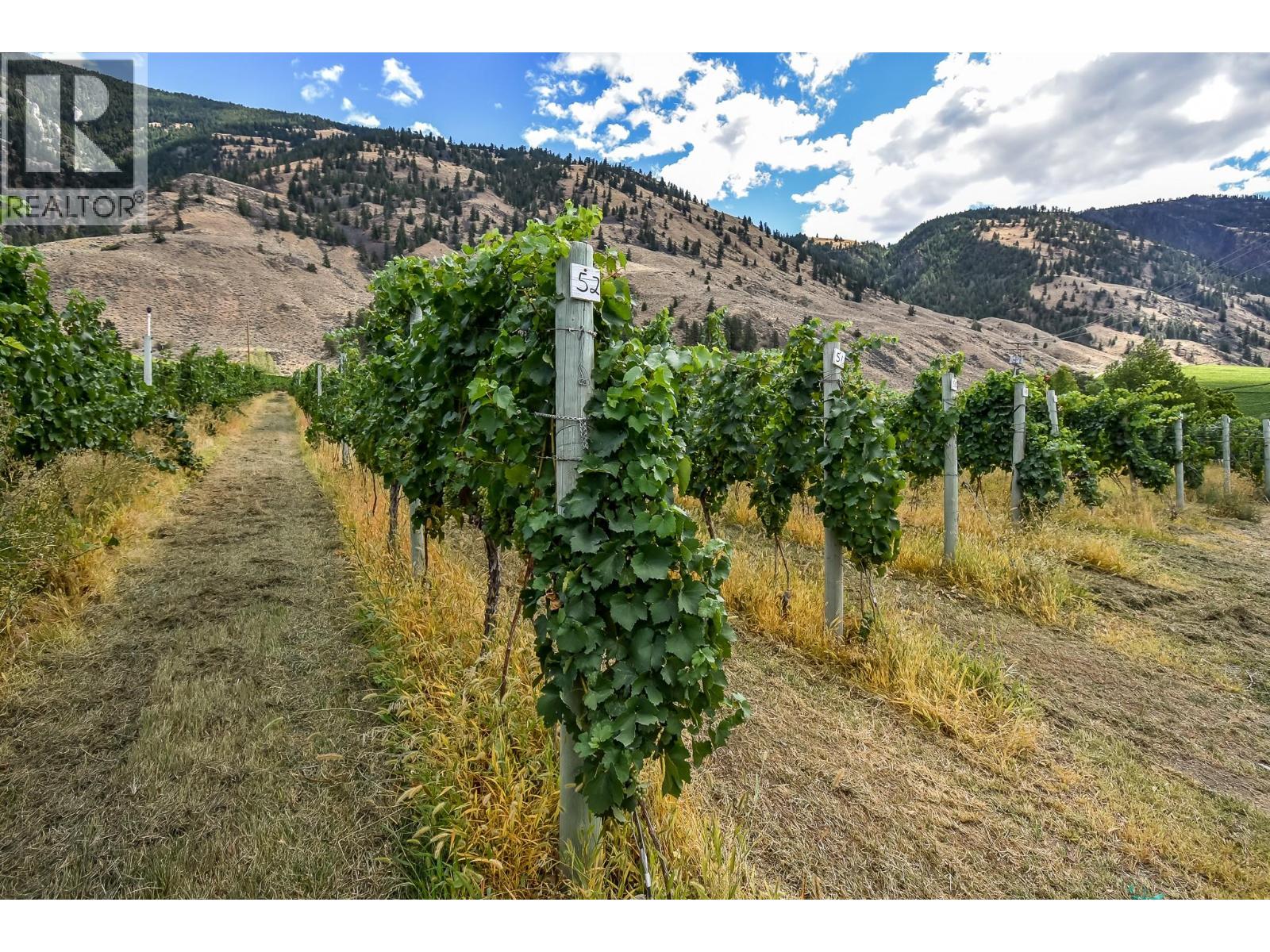 1143 Highway 3, Cawston, British Columbia  V0X 1C3 - Photo 24 - 10403703