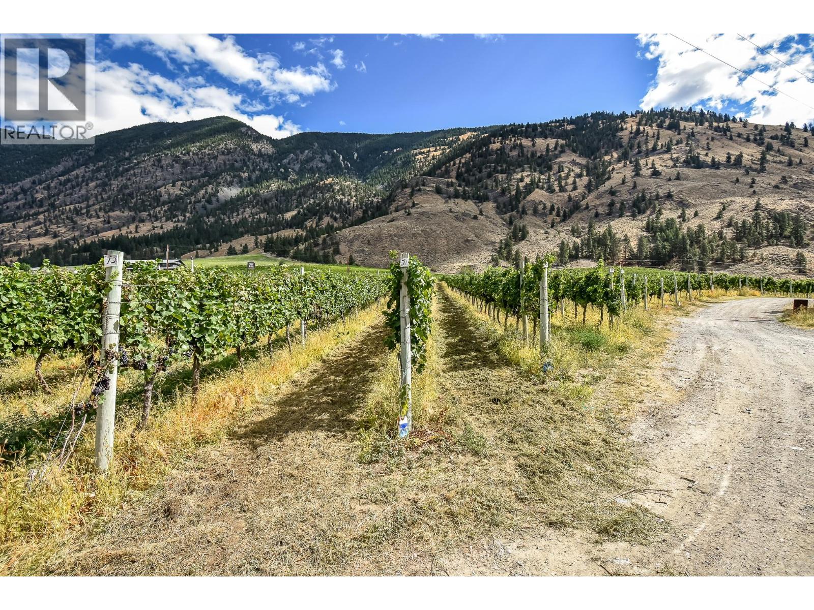1143 Highway 3, Cawston, British Columbia  V0X 1C3 - Photo 37 - 10403701