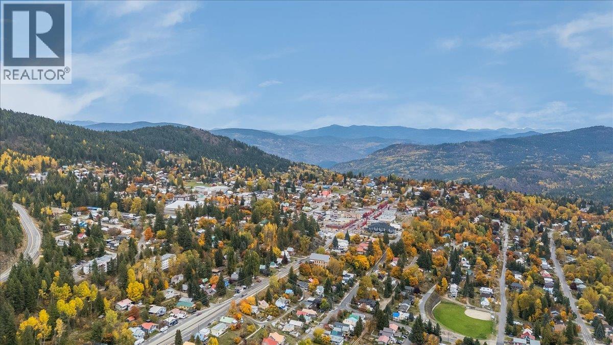 1653 Harasin Alley, Rossland, British Columbia  V0G 1Y0 - Photo 42 - 10403827