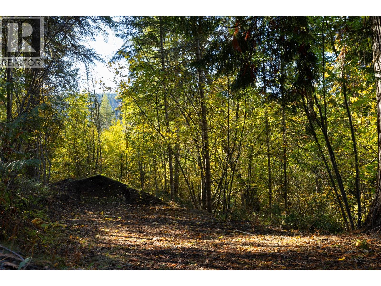 190 Twin Lakes Road, Enderby, British Columbia  V0E 1V2 - Photo 3 - 10403727