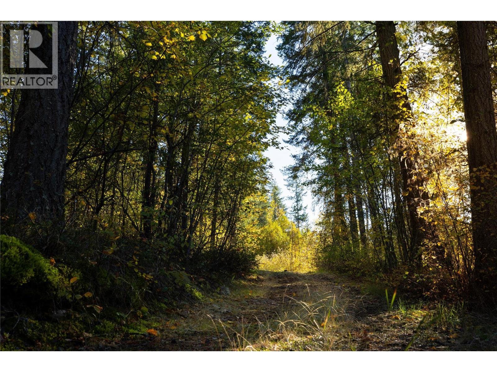 190 Twin Lakes Road, Enderby, British Columbia  V0E 1V2 - Photo 4 - 10403727