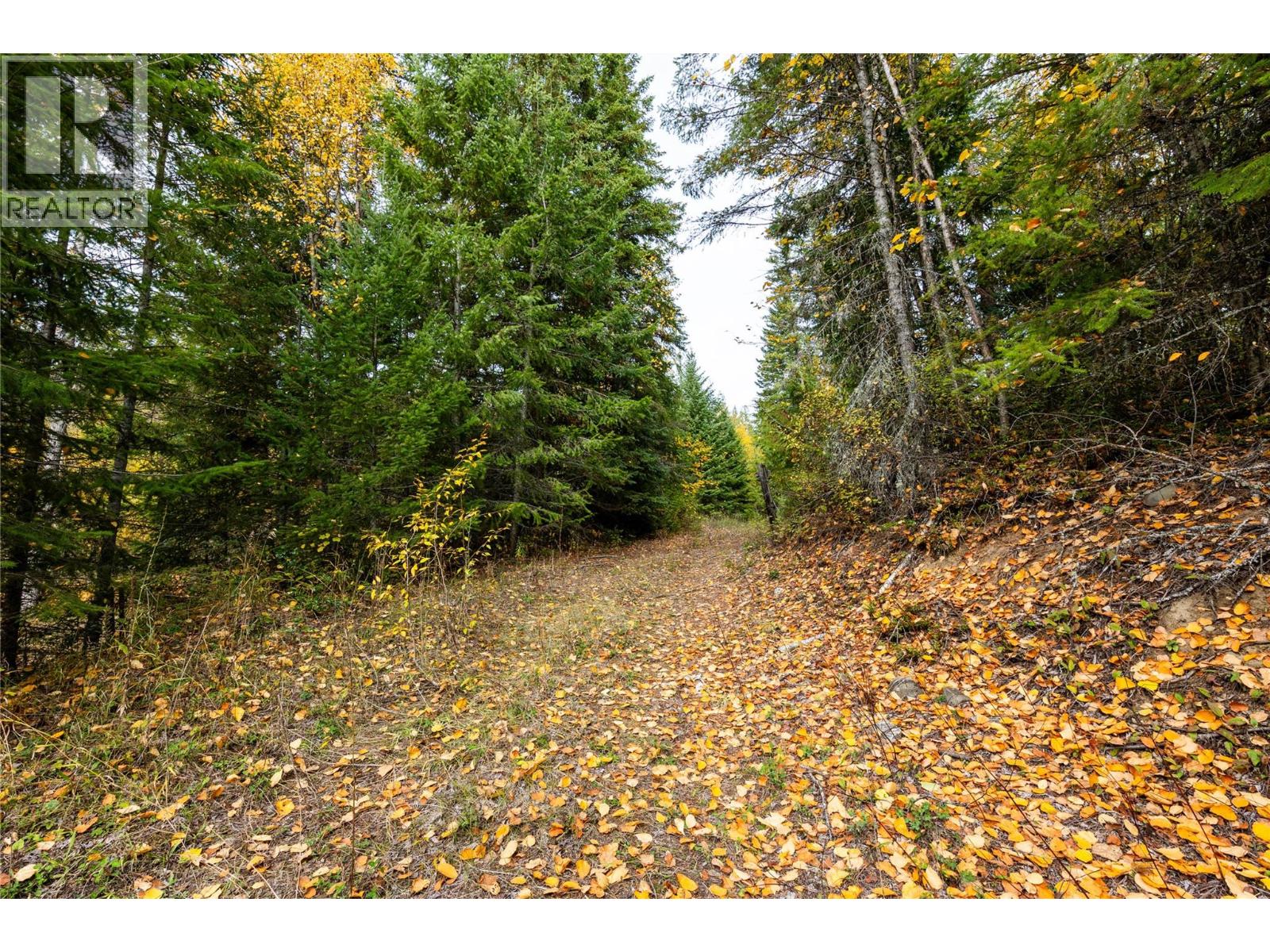 T32 Larch Hills Road, Grindrod, British Columbia  V1E 2Y4 - Photo 11 - 10403871
