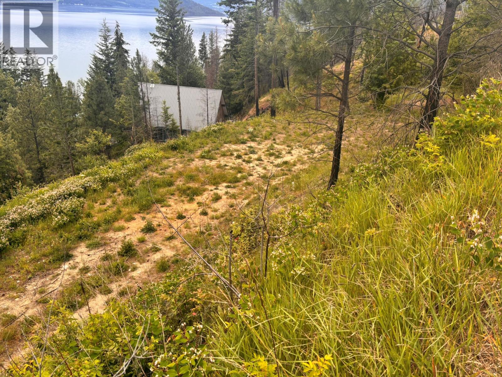 Lot 24 Hlina Road, Celista, British Columbia  V0E 1M6 - Photo 7 - 10403887