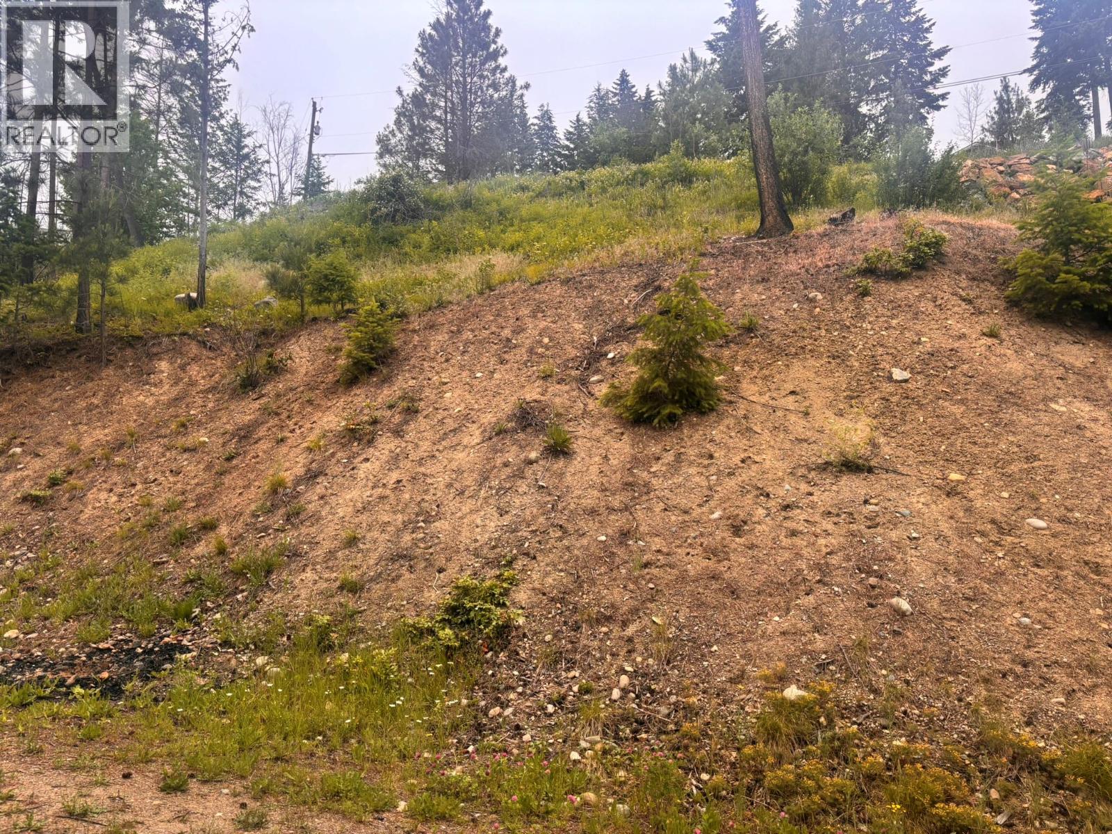 Lot 24 Hlina Road, Celista, British Columbia  V0E 1M6 - Photo 9 - 10403887