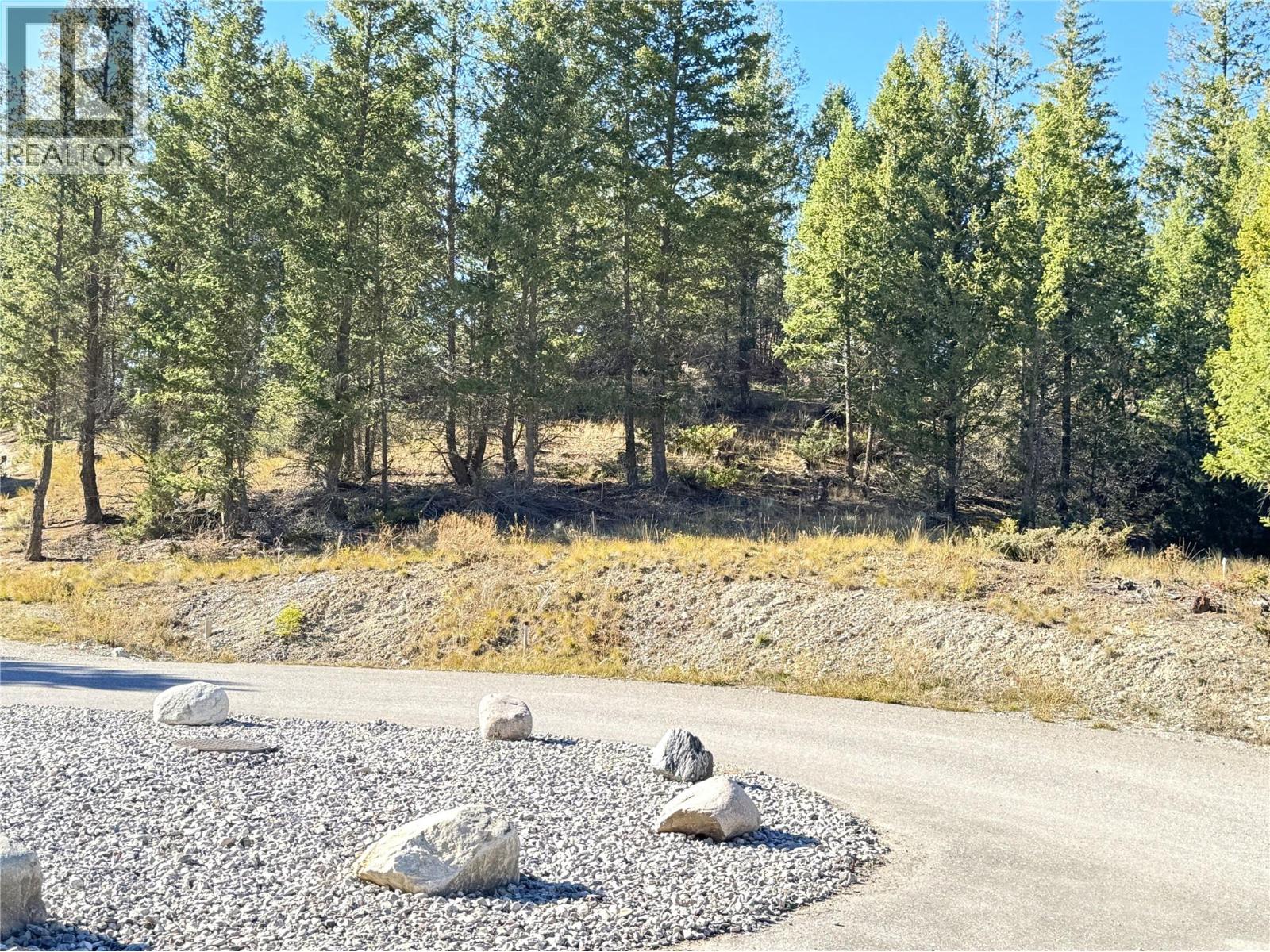 Lot 41 Cooper Road, Windermere, British Columbia  V0A 1K2 - Photo 12 - 10403520