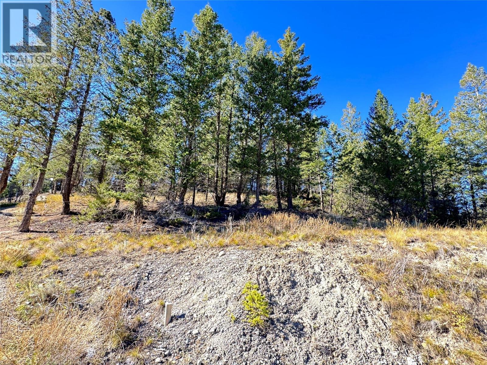 Lot 41 Cooper Road, Windermere, British Columbia  V0A 1K2 - Photo 6 - 10403520