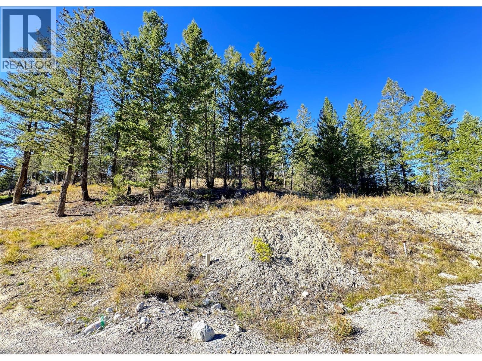 Lot 41 Cooper Road, Windermere, British Columbia  V0A 1K2 - Photo 7 - 10403520