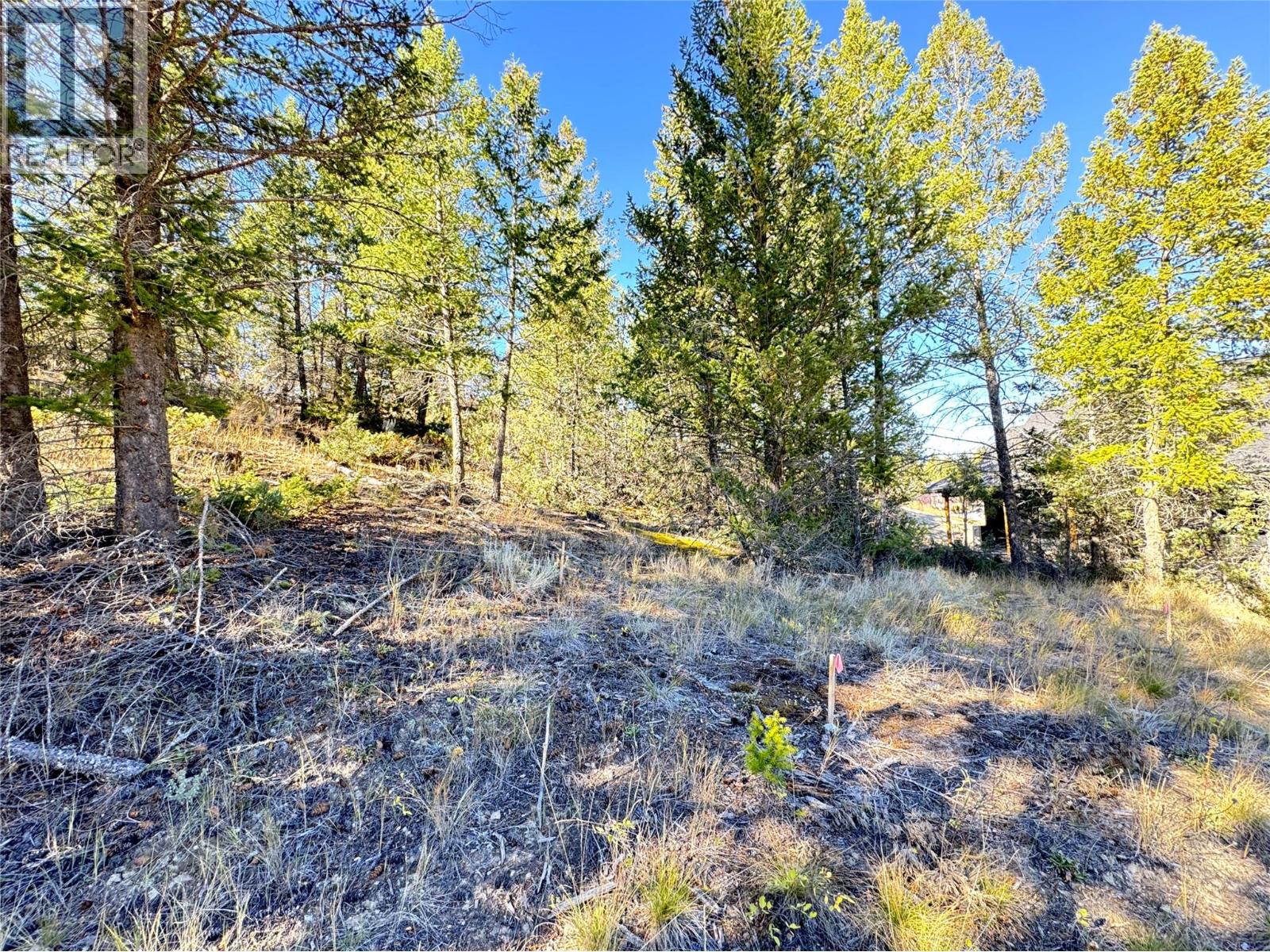 Lot 41 Cooper Road, Windermere, British Columbia  V0A 1K2 - Photo 8 - 10403520