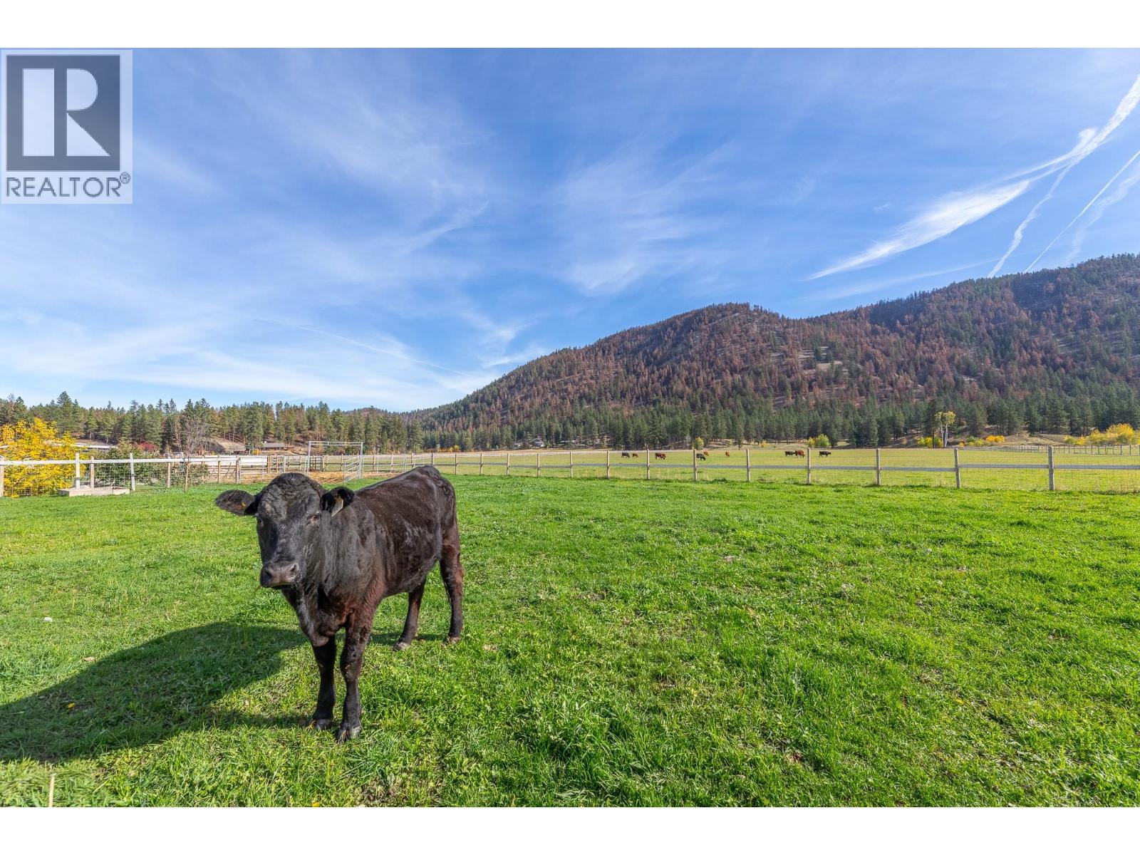 855 Fish Lake Road, Summerland, British Columbia  V0H 1Z8 - Photo 48 - 10403726