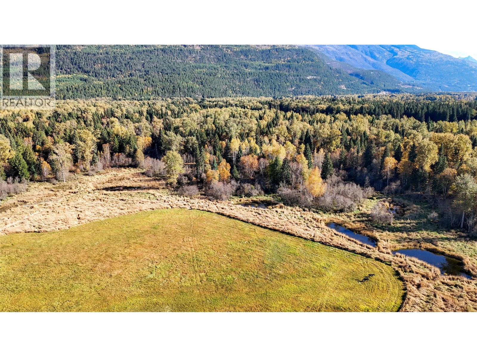 13226 Highway 31, Meadow Creek, British Columbia  V0G 1N0 - Photo 12 - 10403915