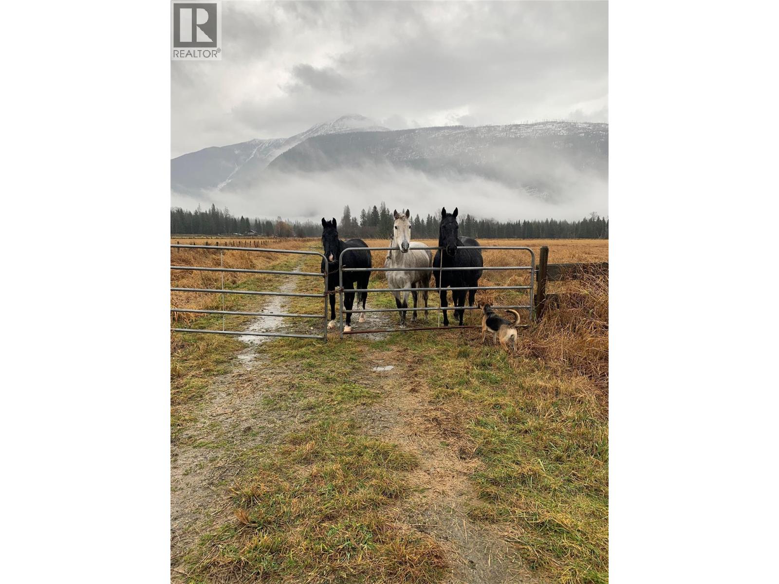13226 Highway 31, Meadow Creek, British Columbia  V0G 1N0 - Photo 42 - 10403915