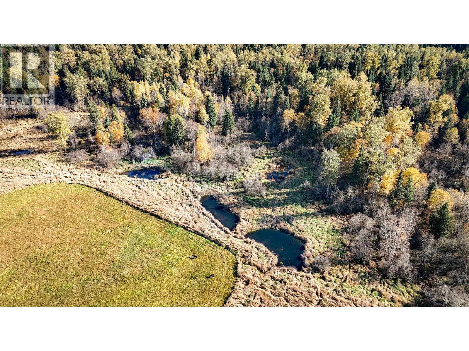 13226 Highway 31, Meadow Creek, British Columbia  V0G 1N0 - Photo 5 - 10403915