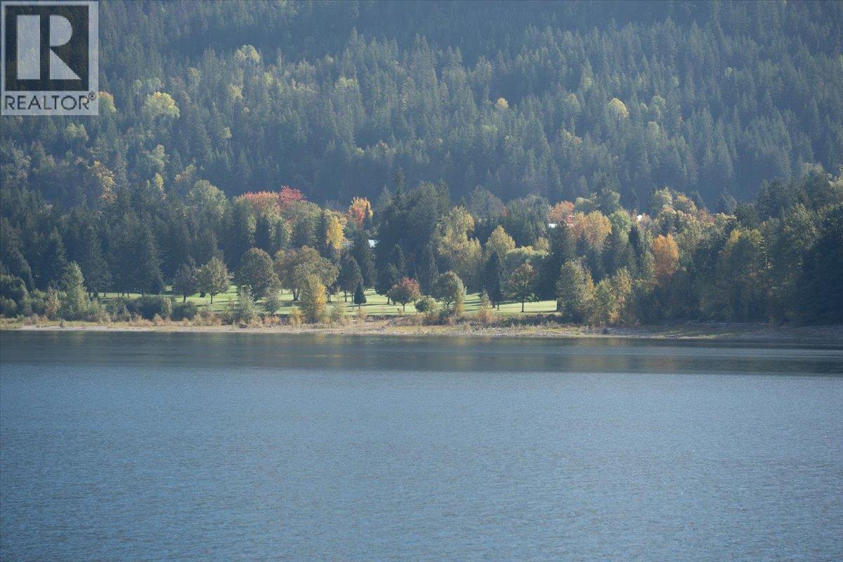 160 Needles North Road, Needles, British Columbia  V0G 1K0 - Photo 15 - 10403897