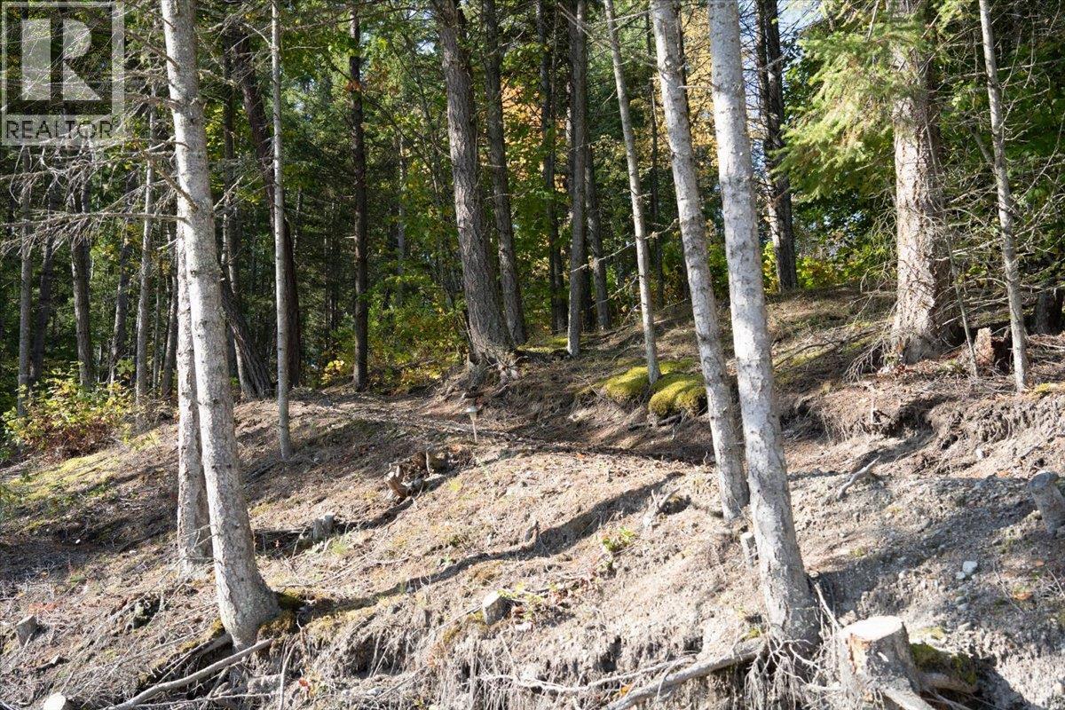 160 Needles North Road, Needles, British Columbia  V0G 1K0 - Photo 16 - 10403897