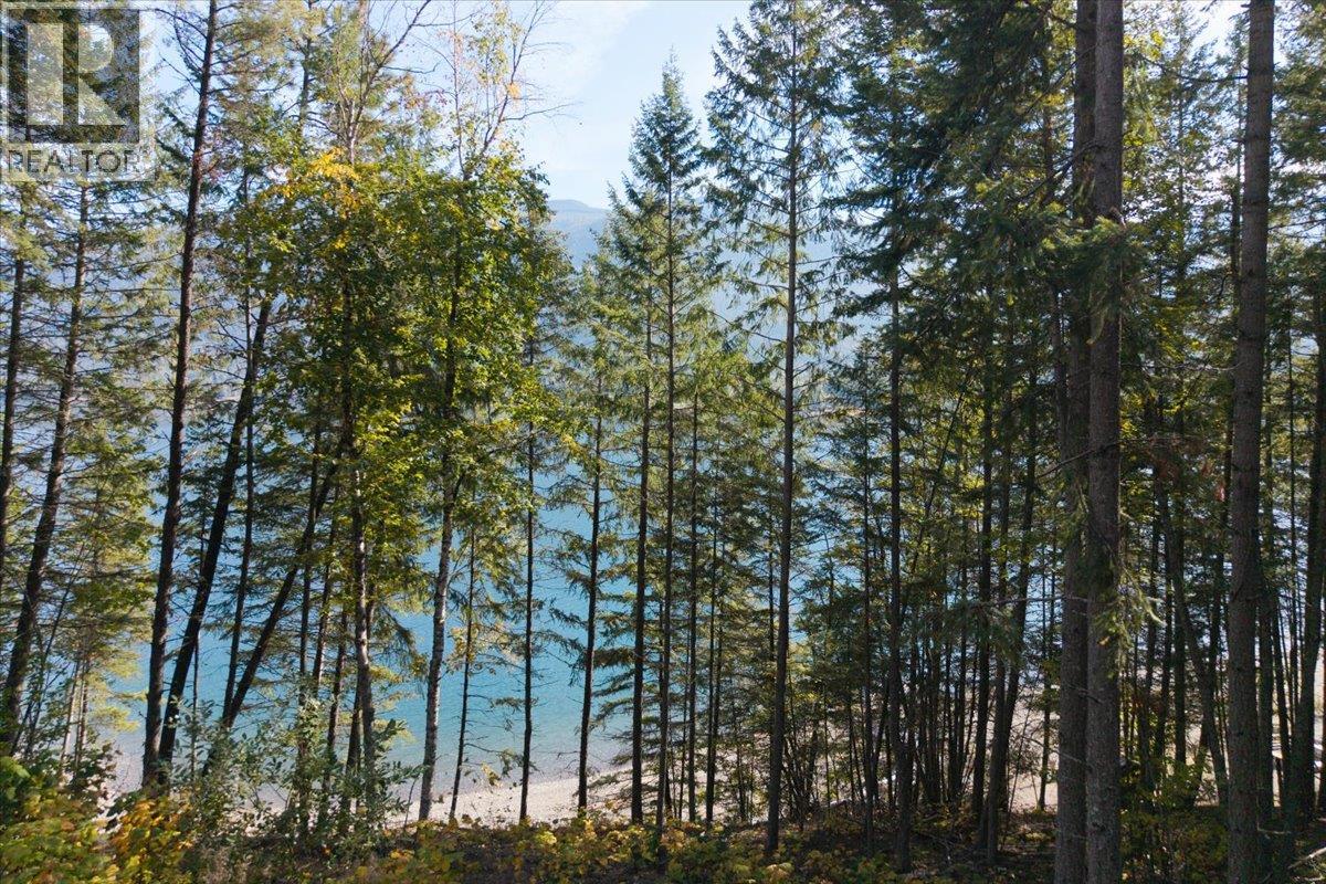 160 Needles North Road, Needles, British Columbia  V0G 1K0 - Photo 22 - 10403897