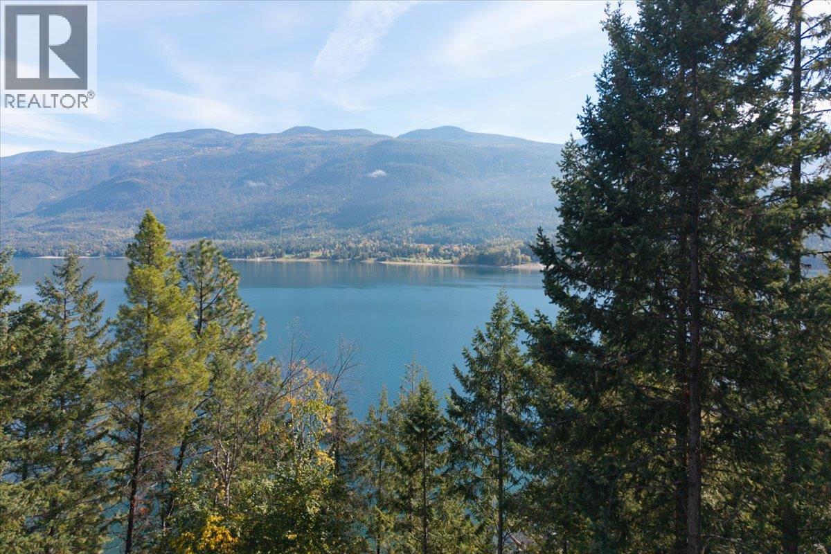 160 Needles North Road, Needles, British Columbia  V0G 1K0 - Photo 23 - 10403897