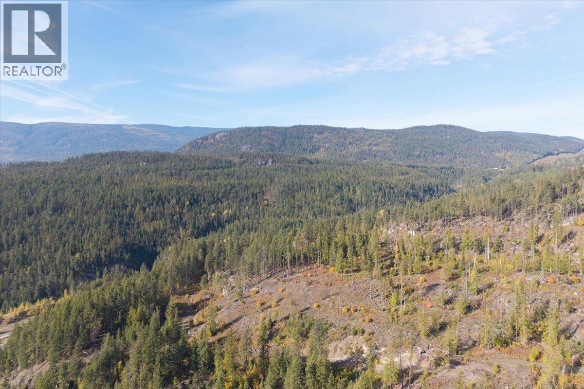 160 Needles North Road, Needles, British Columbia  V0G 1K0 - Photo 31 - 10403897