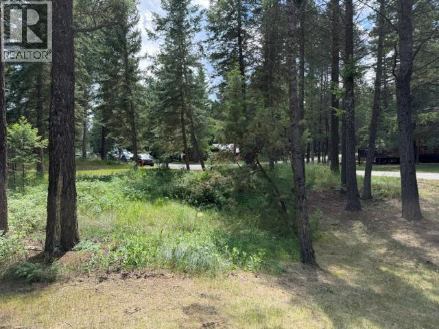 Ridge Way Lot# 114, Windermere, British Columbia  V0A 1K3 - Photo 3 - 10403882