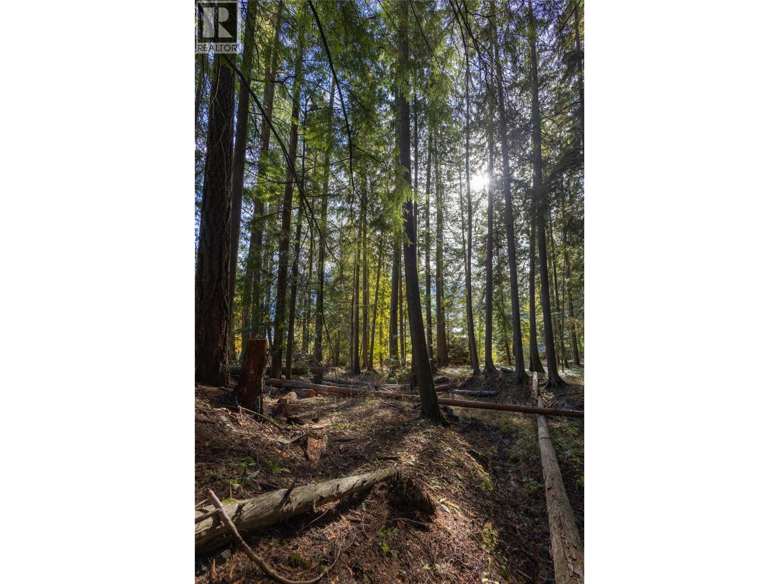4318 Highway 3a Highway, Nelson, British Columbia  V1L 6N1 - Photo 18 - 10403796