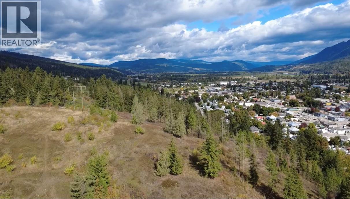 402 Princess Street, Enderby, British Columbia  V0E 1V1 - Photo 5 - 10403714