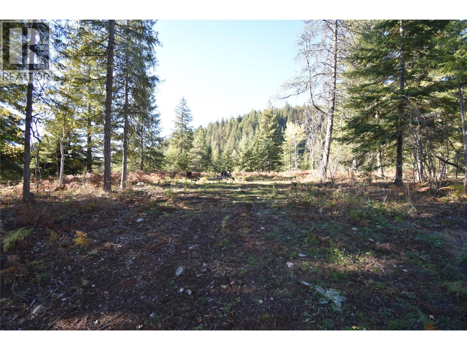 1025 Kelly Drive, Shoreacres, British Columbia  V1N 4P5 - Photo 22 - 10403903