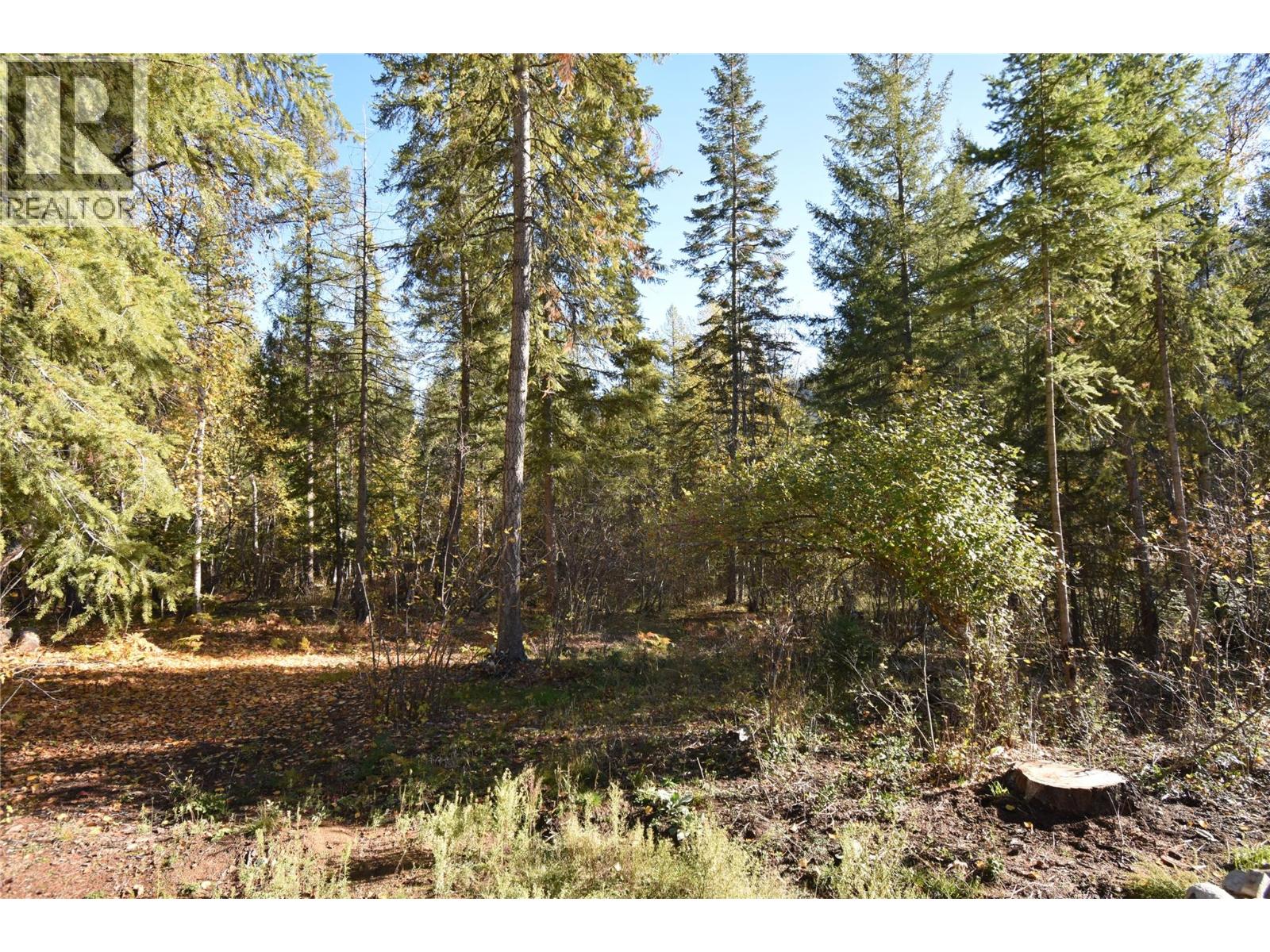 1025 Kelly Drive, Shoreacres, British Columbia  V1N 4P5 - Photo 27 - 10403903
