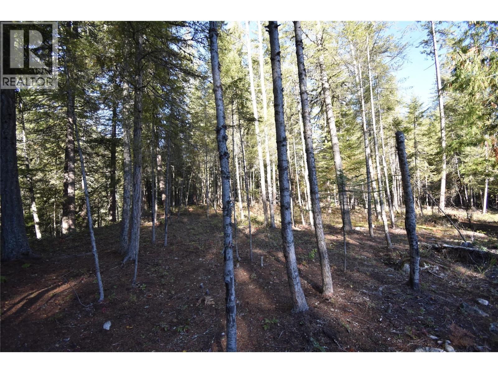 1025 Kelly Drive, Shoreacres, British Columbia  V1N 4P5 - Photo 31 - 10403903