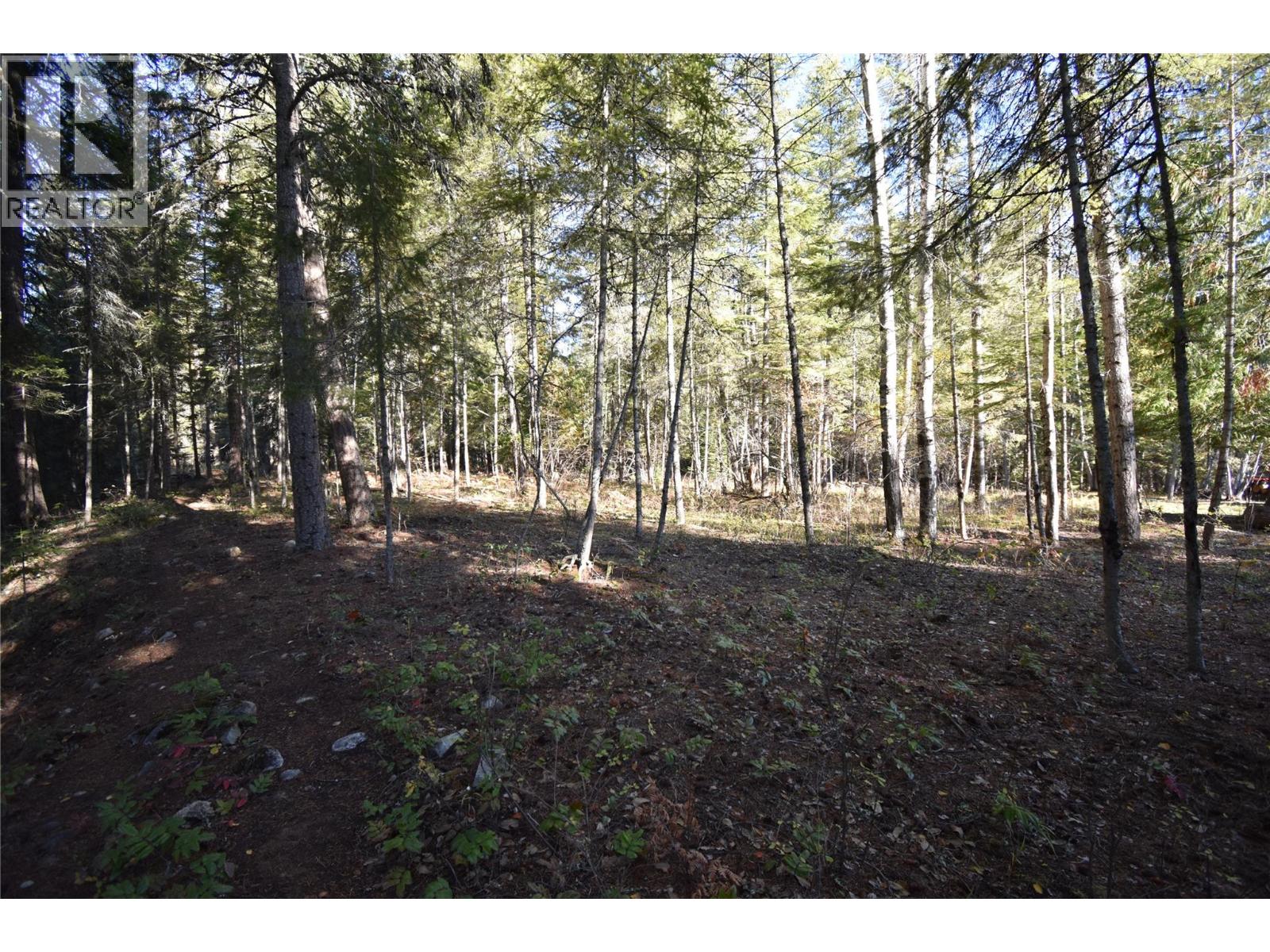 1025 Kelly Drive, Shoreacres, British Columbia  V1N 4P5 - Photo 33 - 10403903