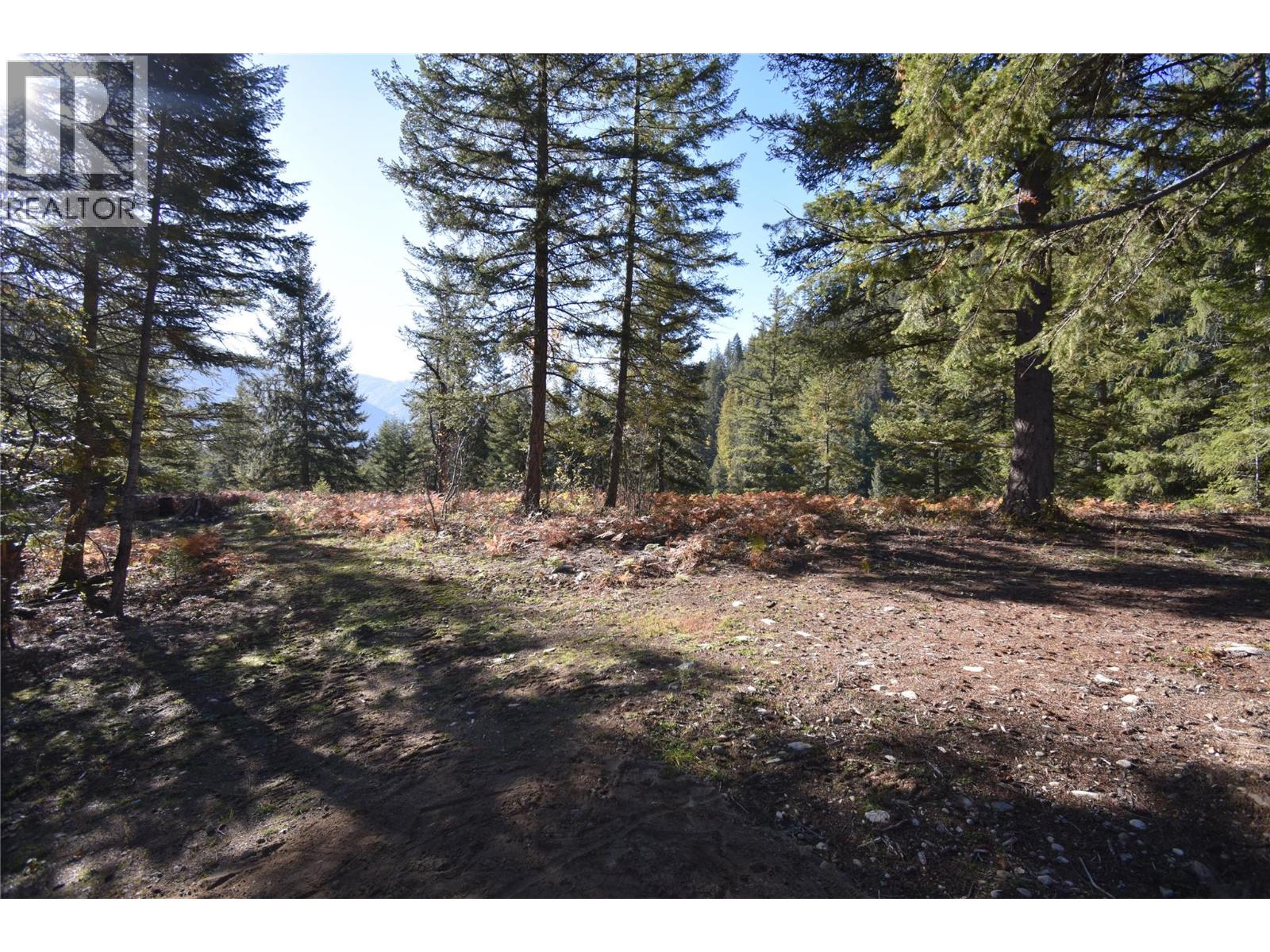 1025 Kelly Drive, Shoreacres, British Columbia  V1N 4P5 - Photo 35 - 10403903