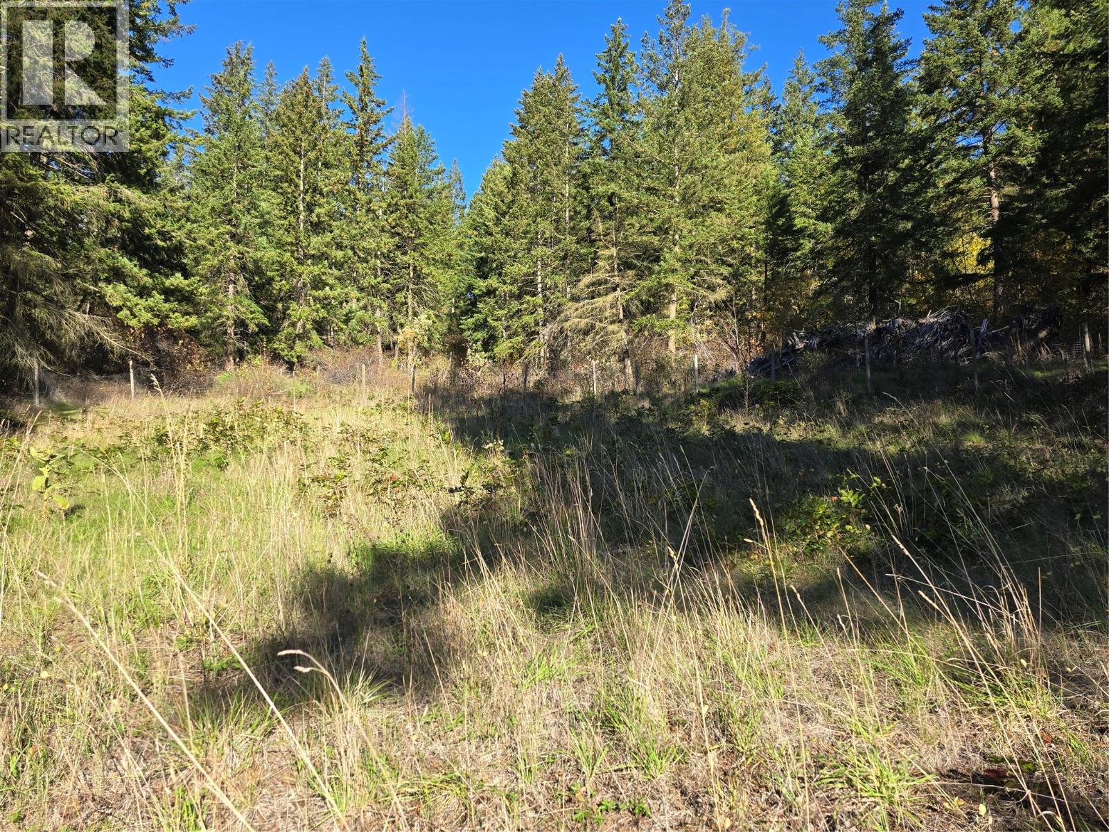 4050 White Lake Road, White Lake, British Columbia  V0E 2W0 - Photo 22 - 10403924