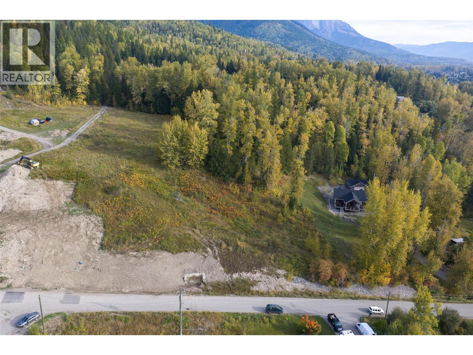 1653 Mcleod Avenue, Fernie, British Columbia  V0B 1M1 - Photo 3 - 10403964