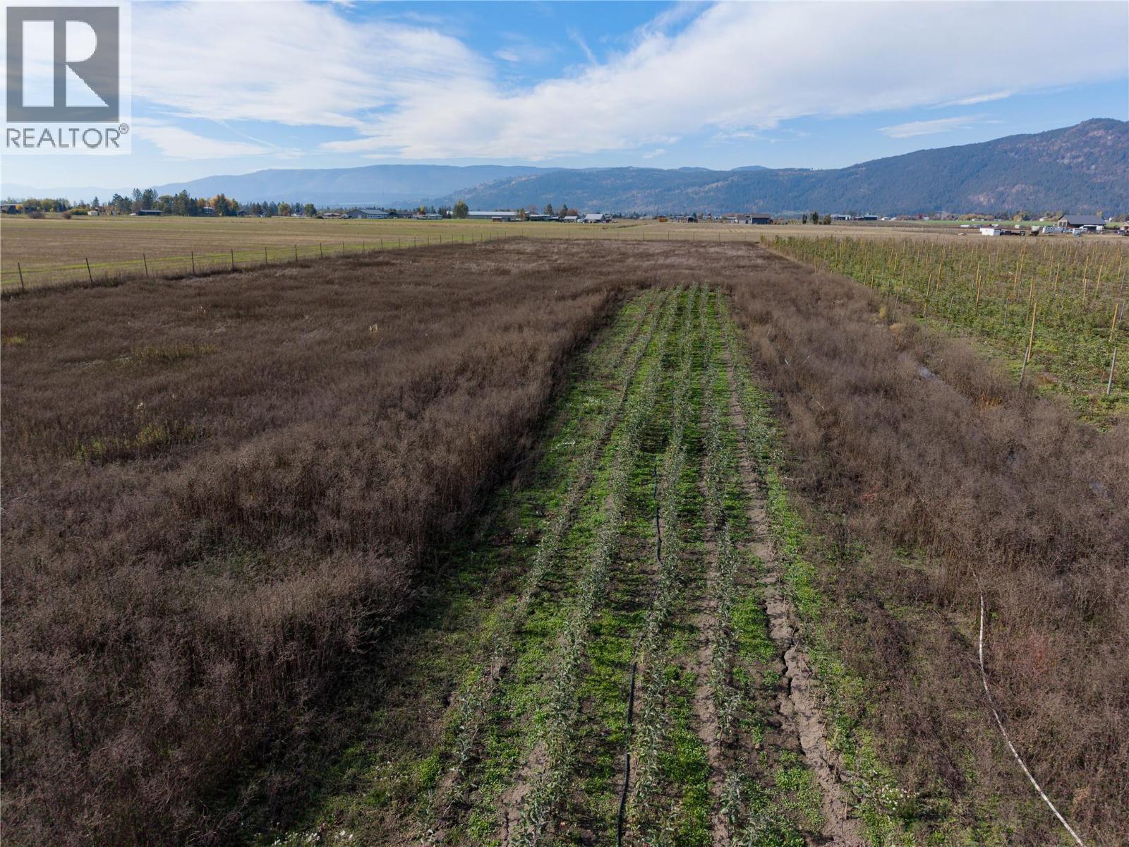 1939 97a Highway, Armstrong, British Columbia  V0E 1B6 - Photo 10 - 10404205