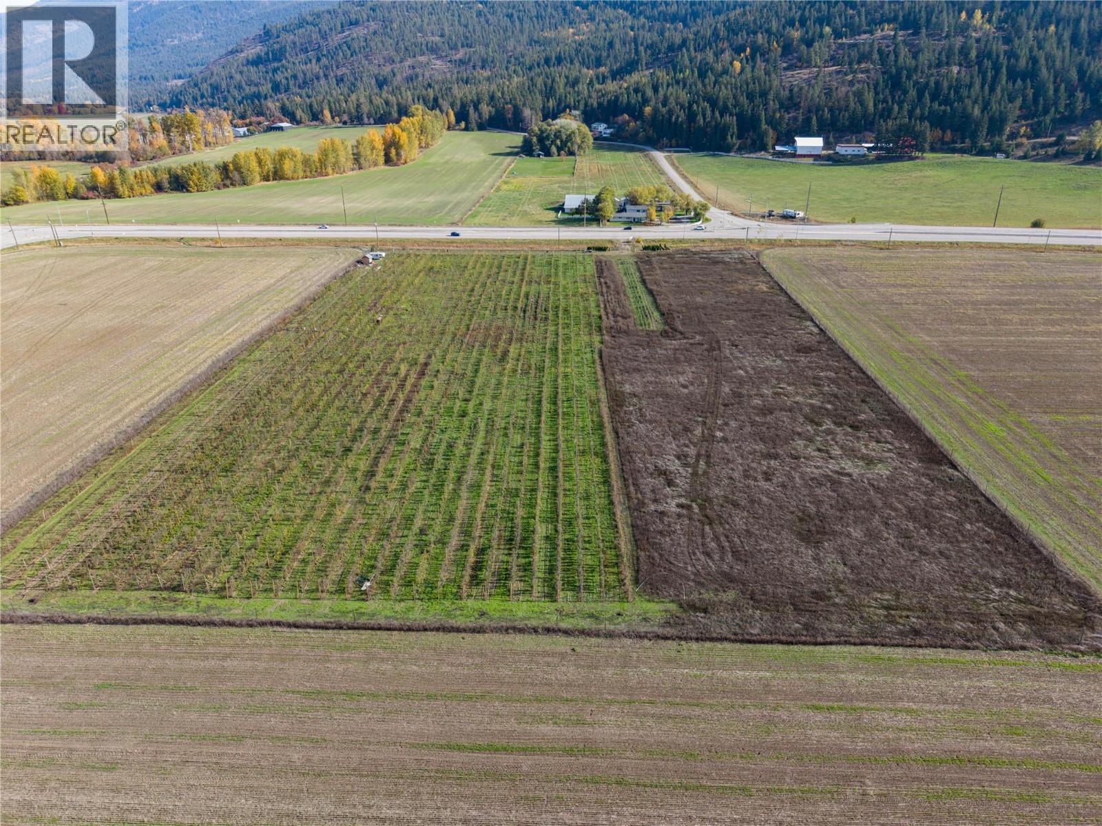 1939 97a Highway, Armstrong, British Columbia  V0E 1B6 - Photo 6 - 10404205