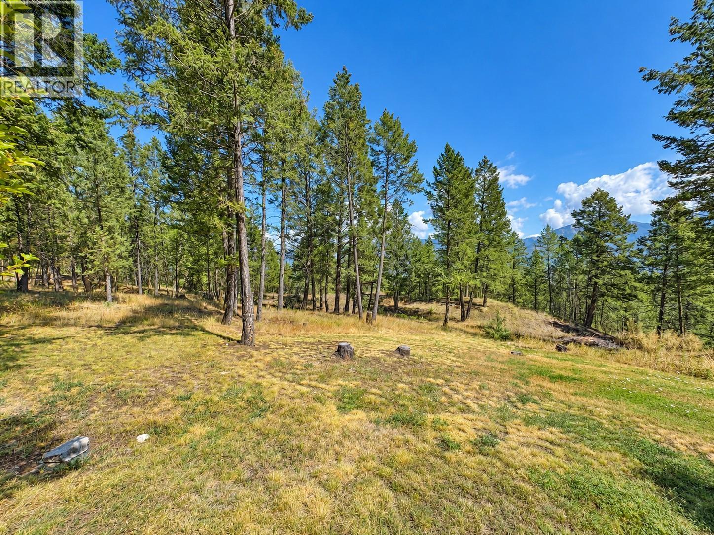 1630 Johnston Road Unit# 3, Invermere, British Columbia  V0A 1K0 - Photo 37 - 10404117